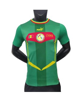 Senegal Jersey 2022 Authentic Away